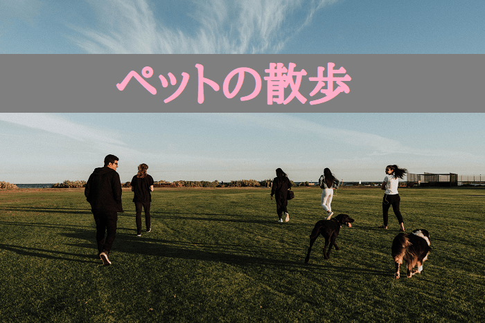 ペットの散歩