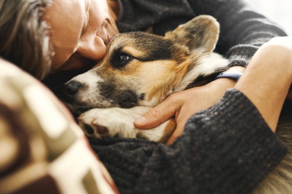 子犬の夢で幸福度をアップさせよう